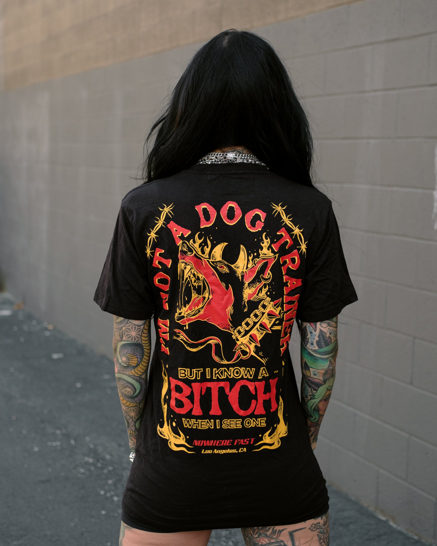 Revamped Dog Trainer