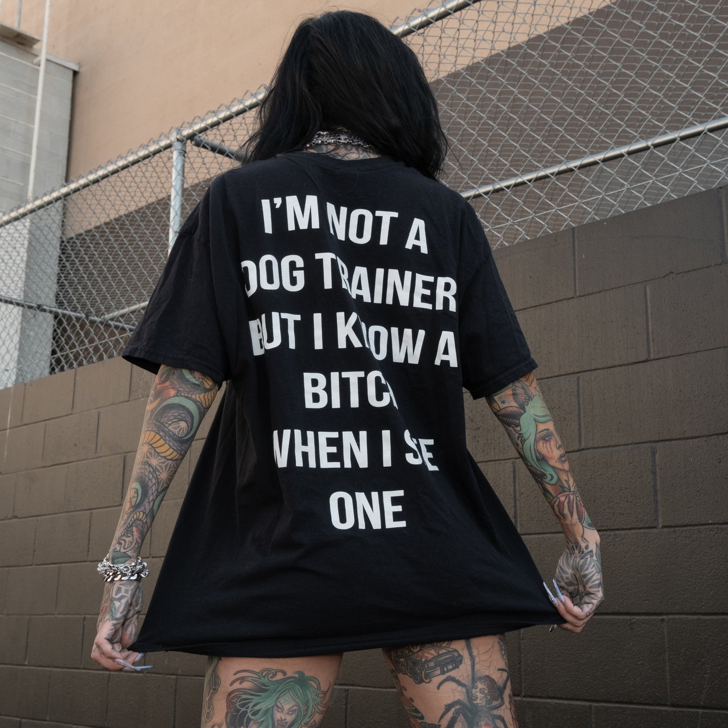 Dog Trainer
